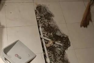 逊克卫生间漏水检测电话